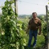 vigneti