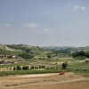 vigneti